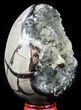 Septarian Dragon Egg Geode - Yellow Crystals #57352-1